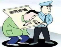 合同诈骗,合同诈骗罪的法律界定与防范策略