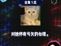 吃瓜娱乐八卦网红,揭秘娱乐圈幕后故事