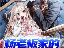 娱乐吃瓜君某位娘娘小说,娘娘的逆袭之路