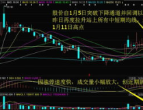 股票300304,最新价7.15元，涨幅1.56%