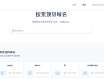 域名是,如何从域名中提炼出引人入胜的副标题