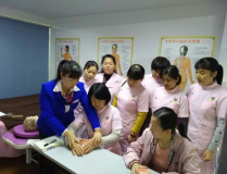 催乳师培训多少钱,价格差异与选择指南