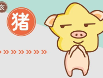 属猪女最佳婚配,揭秘最佳生肖伴侣