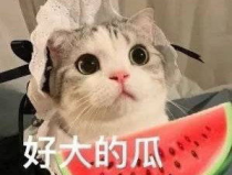 娱乐吃瓜网名女生名字,女生英文名字大集合