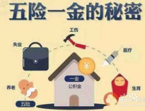 五险一金包括什么,全面解析养老保险、医疗保险、失业保险、工伤保险、生育保险及住房公积金的保障体系