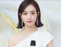 中国女明星名单大全集,中国女明星名单大全集风采掠影