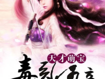 天才萌宝毒医娘亲,毒医娘亲的传奇育儿记