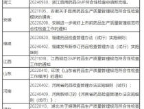 药品标准查询,权威数据库与实用指南